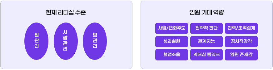 HSG CLE 진단 구성: 현재 리더십 수준(일 관리·사람 관리·팀 관리)과 임원 기대역량 9가지를 분리해 측정